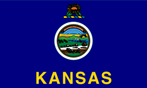 Kansas Flag